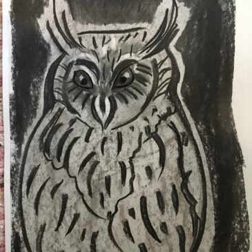 Night Owl